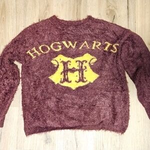 Harry Potter Warner Bros Hogwarts Sweater